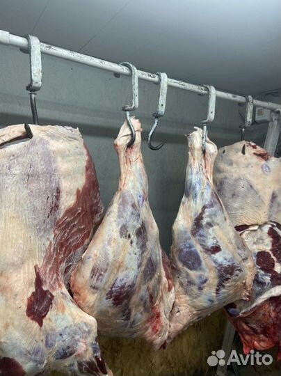 Мясо говядина халяль,баранина