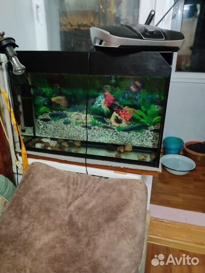 Аквариум