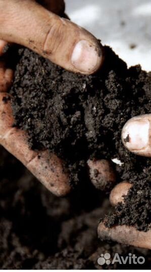 Земля плодородная