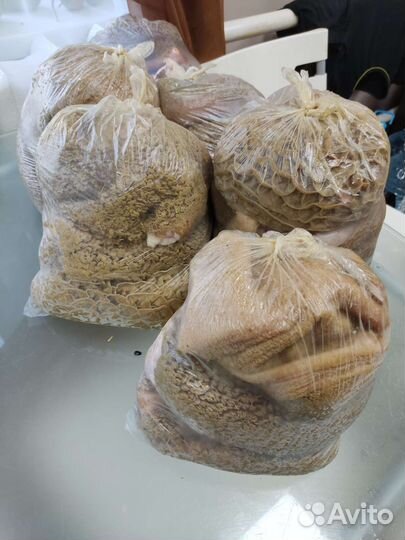 Мясо для собак рубец