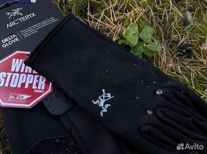 Перчатки Arcteryx