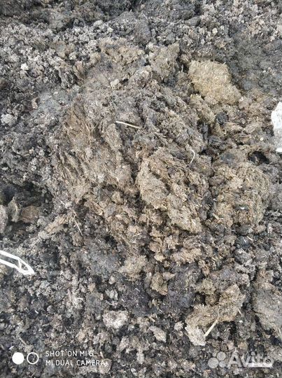 Навоз перегной конский и коровий торф чернозём