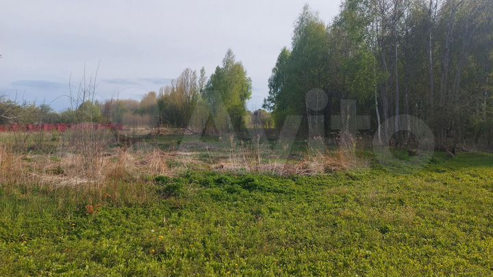 Участок 12 сот. (СНТ, ДНП)