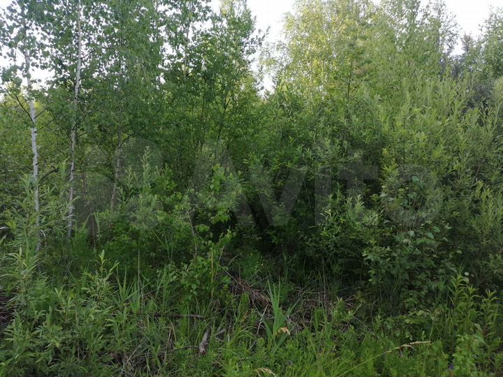 Участок 12 сот. (СНТ, ДНП)
