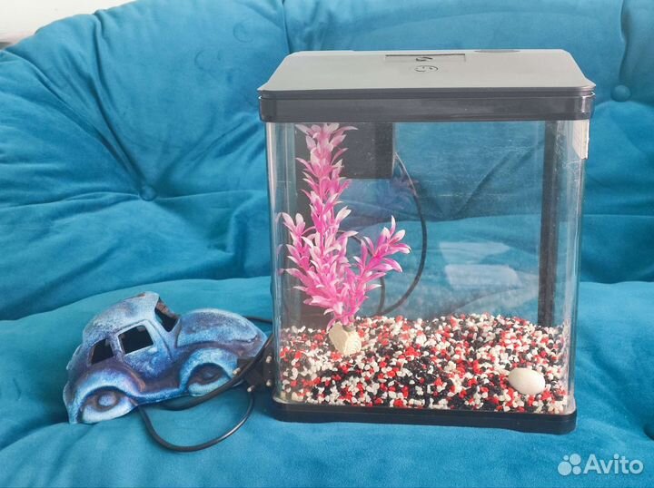 Аквариум Prime с фильтром, подсветкой