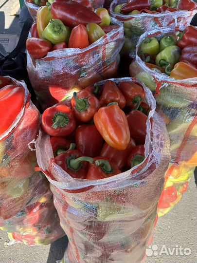 Перец сладкий