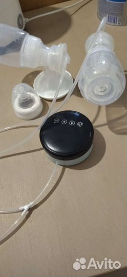 Молокоотсос