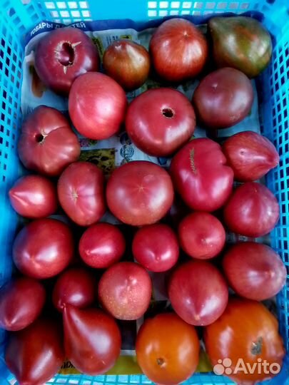 Помидоры свежие домашние