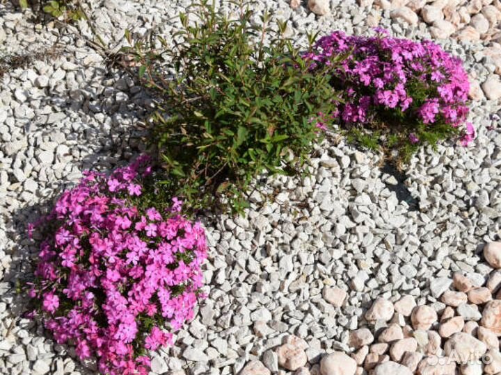 Щебень гранитный в наличии с доставкой. Зайцево