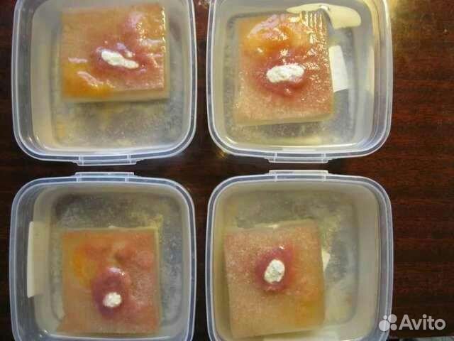 Аулофорус, живой корм для аквариумных рыб