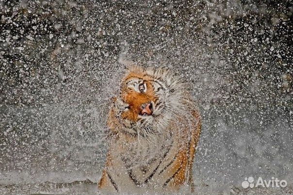 Компьютер моноблок Acer