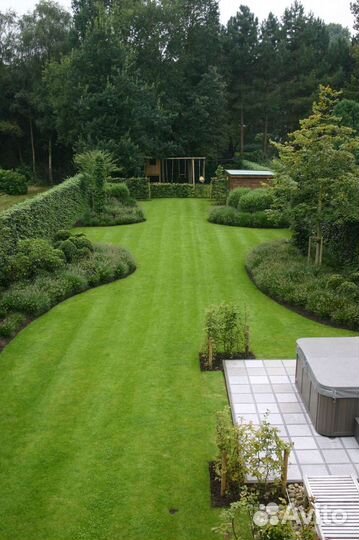 Газон, Лужайка под ключ