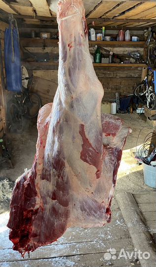 Мясо молодых бычков