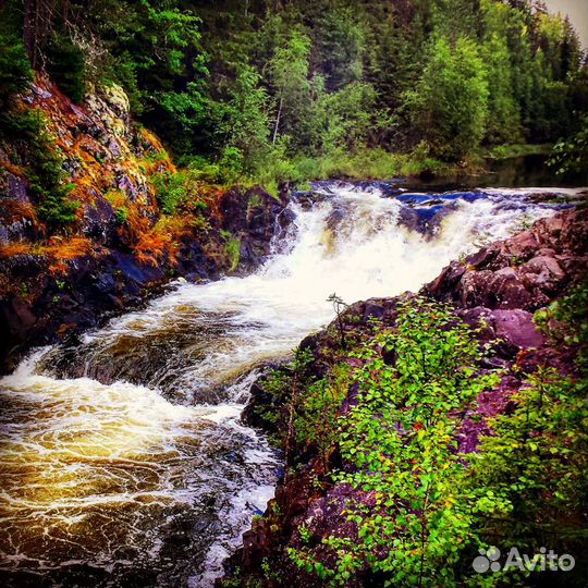 Экскурсия Хаски, олени + Кивач на автомобиле