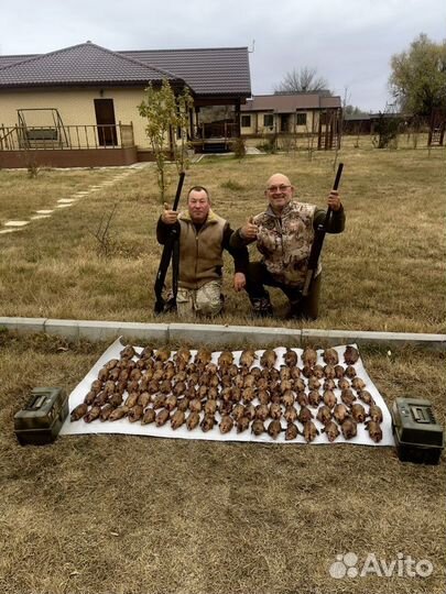 Чучела уток для охоты