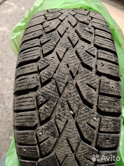 Gislaved NordFrost 100 205/55 R16