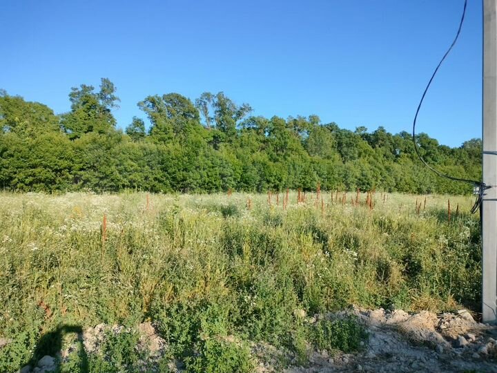 Участок 4,2 сот. (ИЖС)