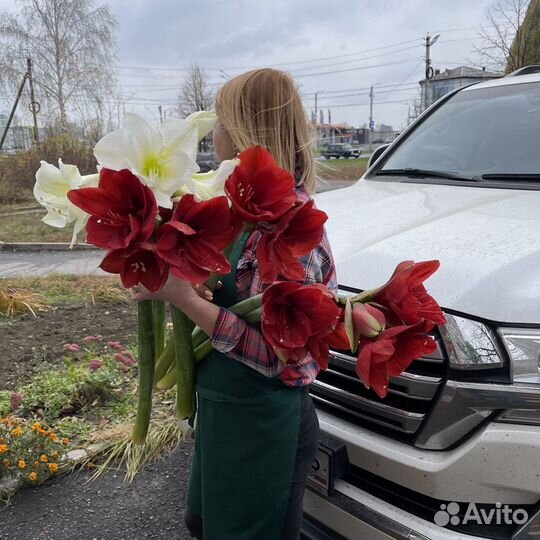 Доставка цветов 24/7