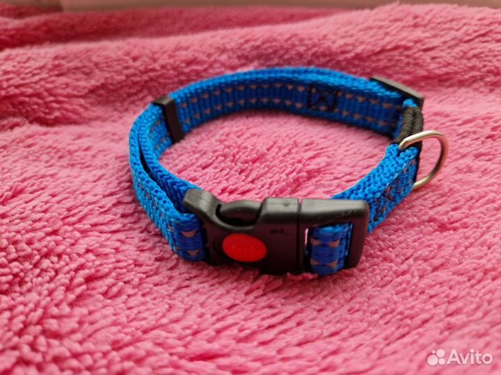 Ошейник для животных