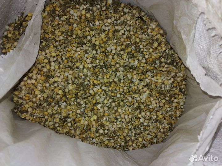 Зерноотходы,пшеница, горох
