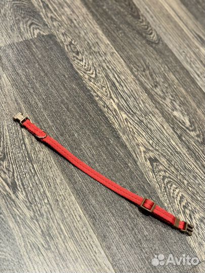 Новый ошейник для собаки - S