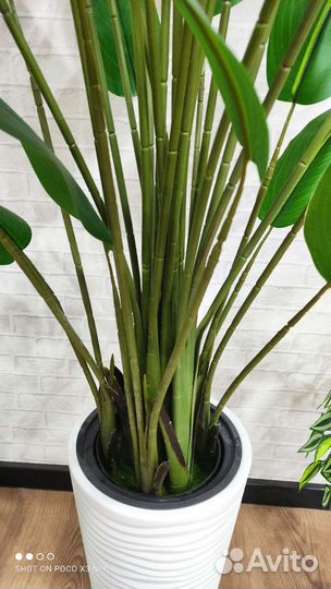 Искусственное дерево пальма, монстера, стрелиция