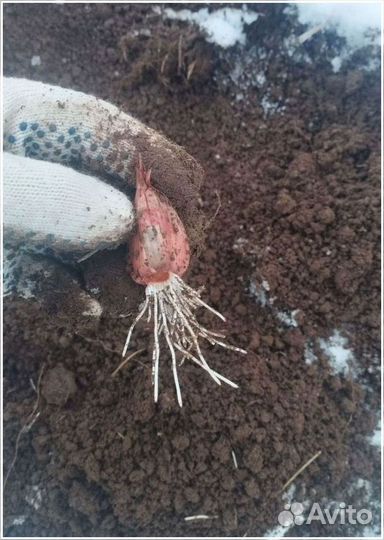 Готовый бизнес, инвестиции