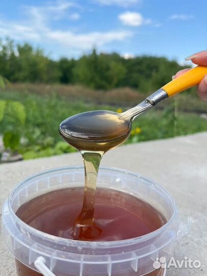 Мёд свежий гречишный