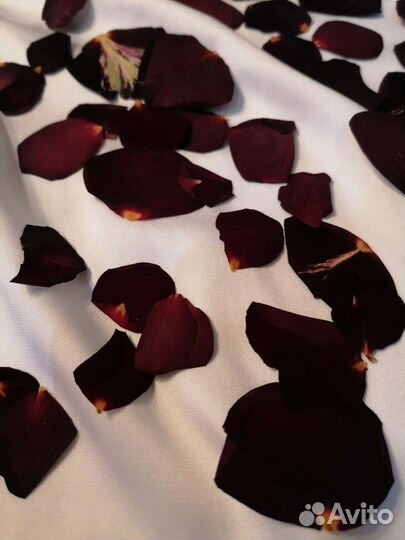 Гербарий плоскозасушенные лепестки роз