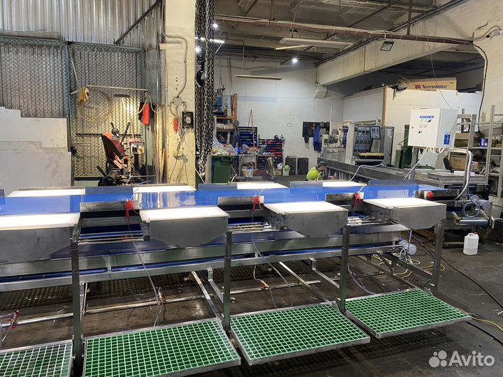 Линия для переработки и потрошения рыбы