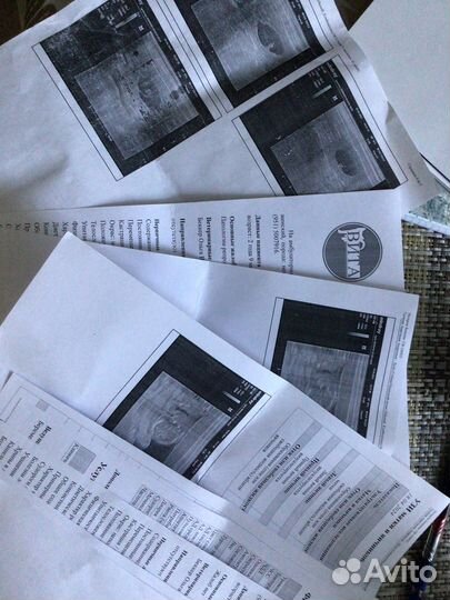 Щенки шпица