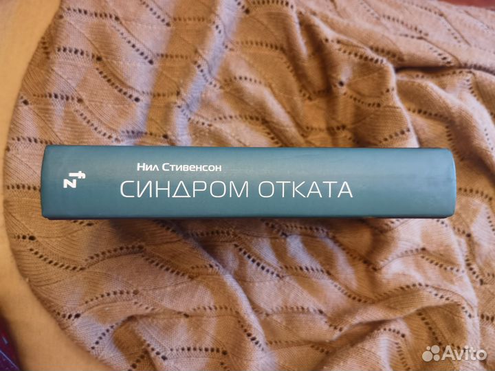 Синдром отката, Нил Стивенсон