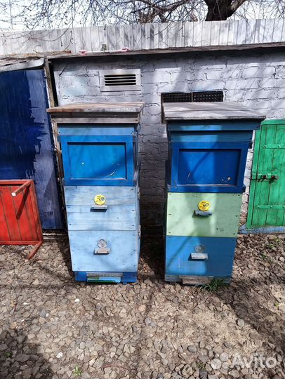 Продам пасеку