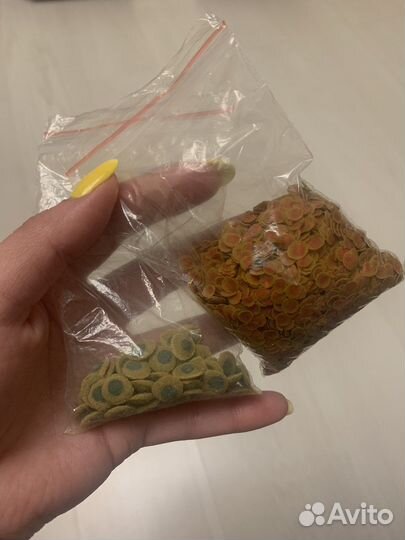 Отдам 3 сомика, кондиционер для аквариума и корм