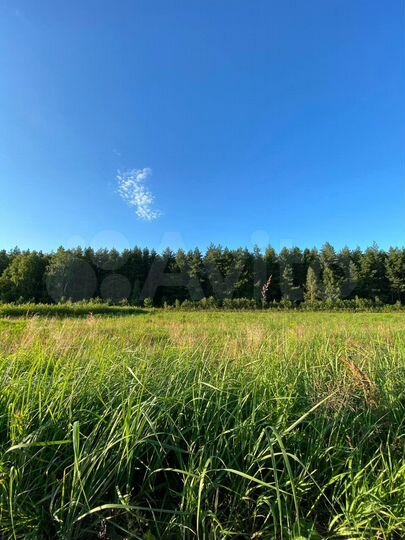 Участок 11 сот. (ИЖС)