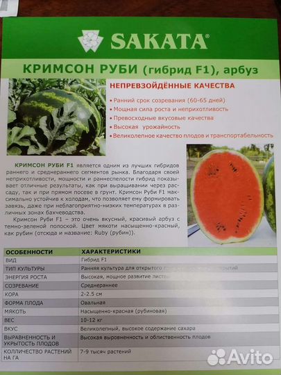 Семена Арбузов