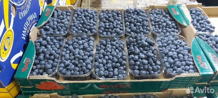 Голубика свежая600