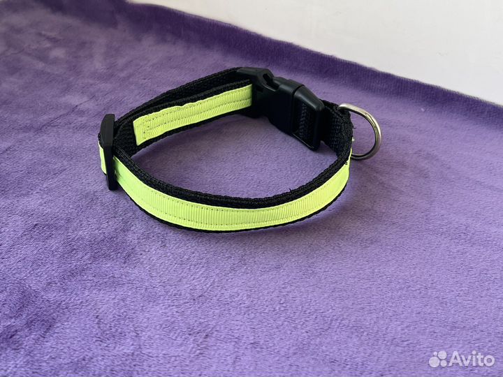 Ошейник для собак