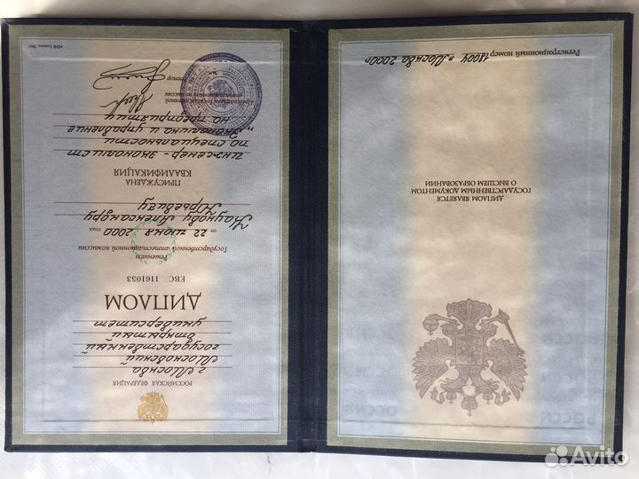 Заместитель директора