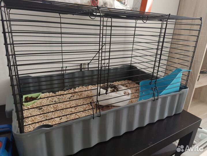 Клетка для кролика, ежа и различных грызунов