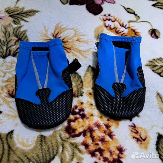Обувь для собак. Третий носок в подарок
