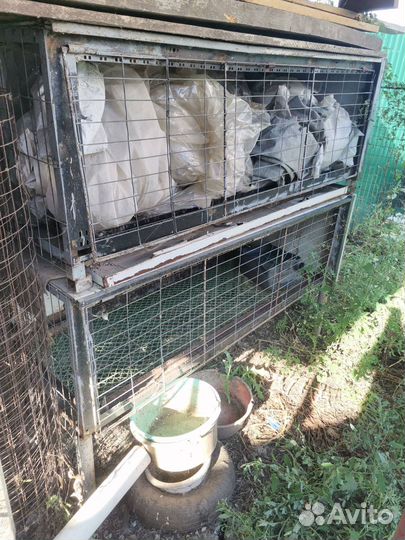 Клетка для птицы