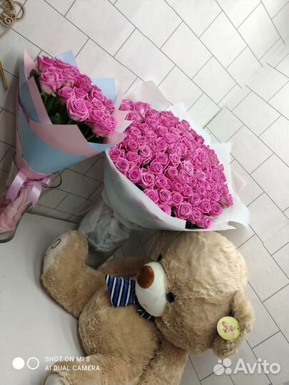 Роза букет цветы 501,301,201,101,51,21,11