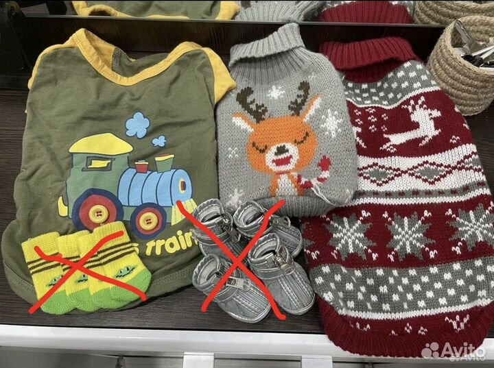 Одежда для маленьких пород собак