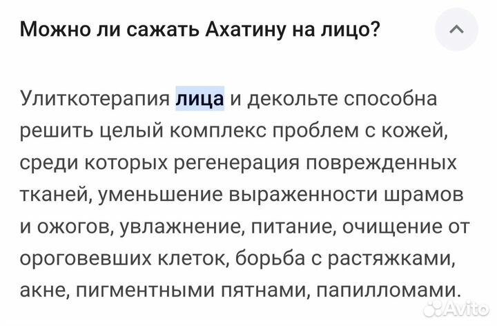 Улитки ахатины бесплатно