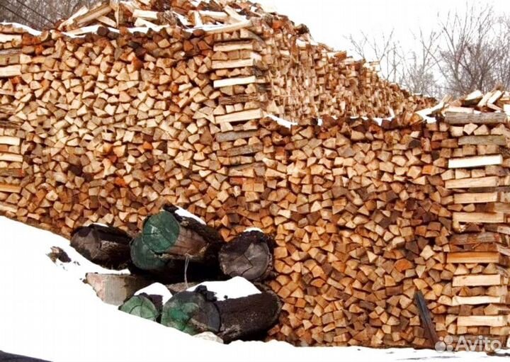 Дрова в СПБ