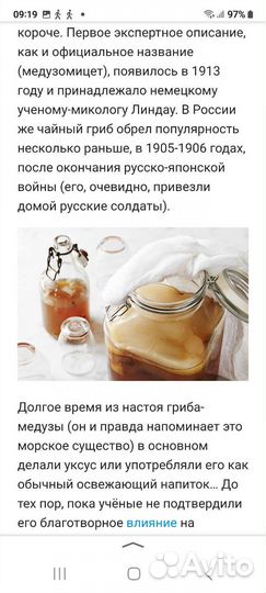 Чайный гриб, Морской рис, Тибецкий молочный гриб