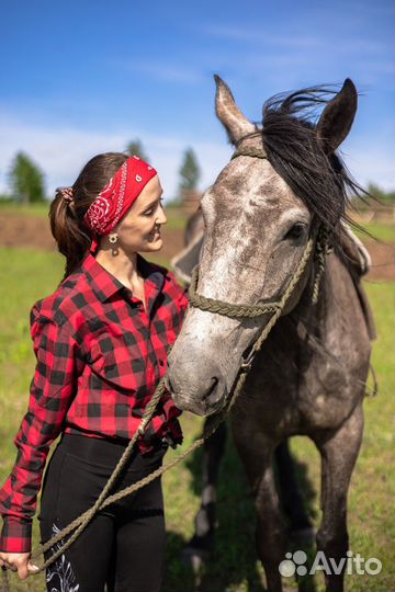 Конные прогулки