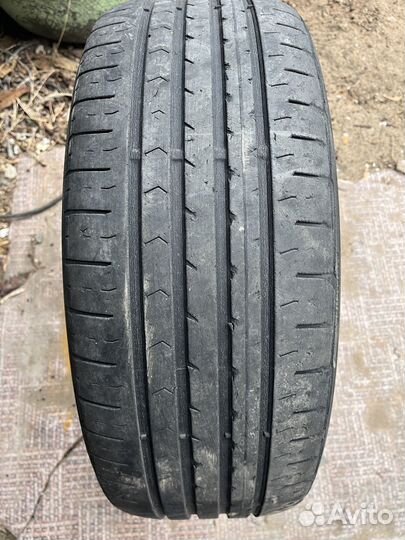 Cordiant Professional DL-1 205/55 R16
