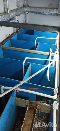 Сварка пластика